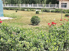 �����Vɽ�S�^(q��)����