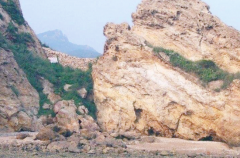 �L���r����ɰ��������ʡס���d�o��֪ͨ����ֹʹ���L���r�C��ɰ