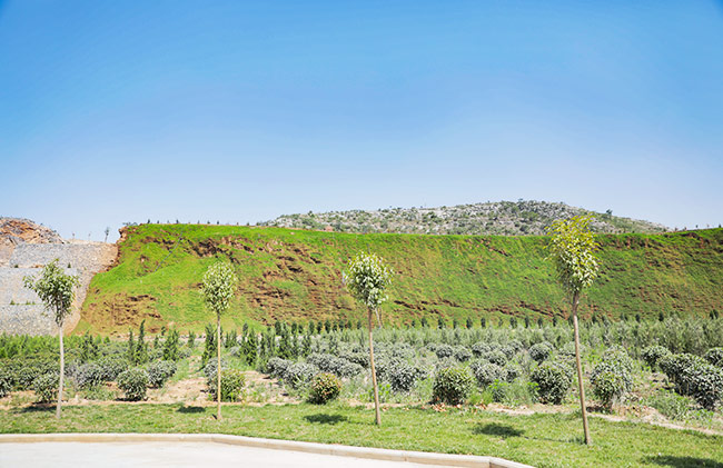 �C(j��)��ɰ���a(ch��n)���h(hu��n)��Ҫ��