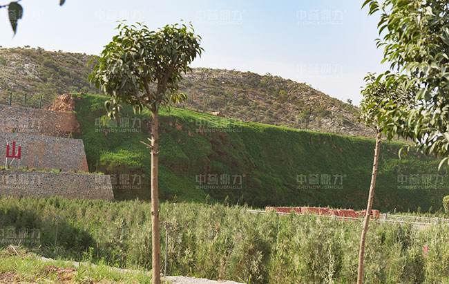 礦山修復(fù)治理